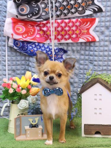 20230521れおくん